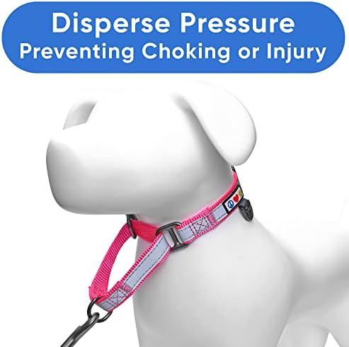 Pawtitas Personalized Dog Collar Martingale Dog Collar with Name Phone Number Reflective Martingale Dog Collar Customized Collar for Medium Dogs | Pink Custom Dog Collars for Medium Dogs