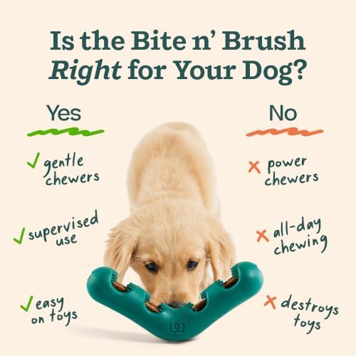 WOOF Bite n' Brush Dog Dental Chew Toy for Small Dogs 10-25 lbs