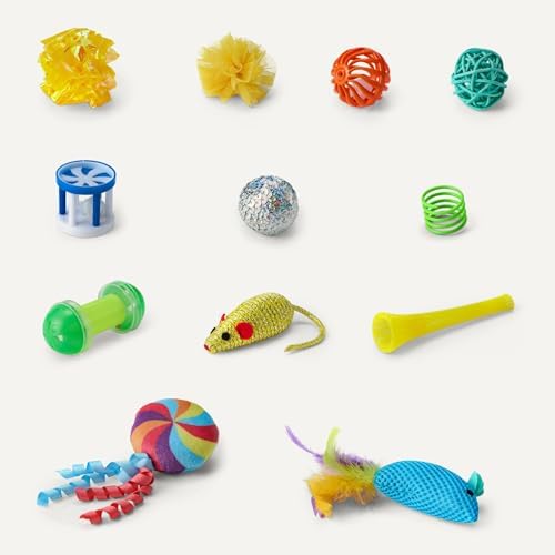 Amazon Basics Cat Toy Set, 20 Piece Variety Pack with Teaser, Ball, Feather, Spring
