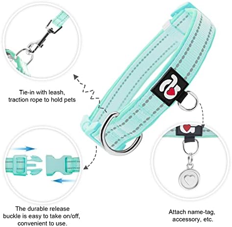 azuza Reflective Dog Collar,Soft Neoprene Padded Pet Collar with ID Tag Ring,Adjustable for Puppy and Small Dogs,Teal,XS