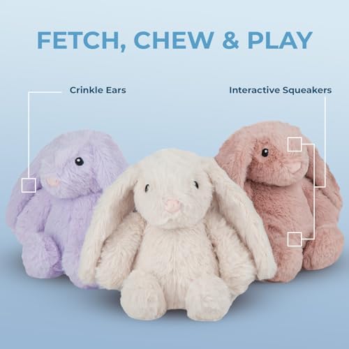 Best Pet Supplies Bunny Buddy Squeaky Plush Dog Toy - Mauve, Medium | Soft Plush, Squeaks & Crinkles, Perfect for Moderate Chewers, Toss & Fetch Play, Stress & Anxiety Reliever, Ideal Gift Toy