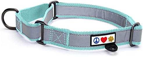 Pawtitas Personalized Dog Collar Martingale Dog Collar with Name Phone Number Reflective Martingale Dog Collar Customized Collar for Medium Dogs | Teal Custom Dog Collars for Medium Dogs