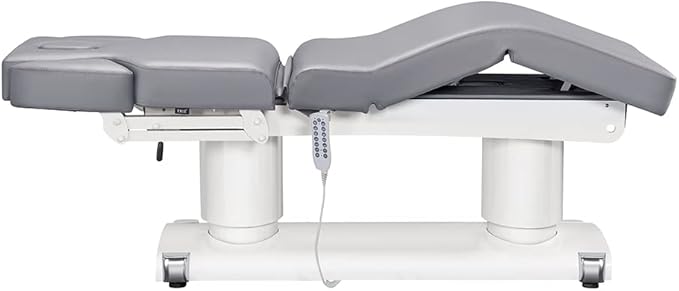 Dir Full Electric Medical Spa Treatment Massage Table Facial Beauty Bed LUXI in Grey