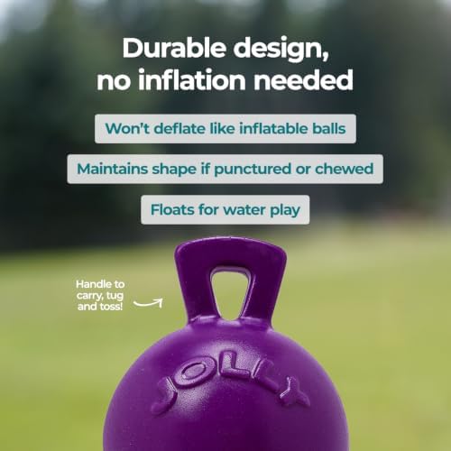 Jolly Pets Tug-n-Toss Heavy Duty Dog Toy Ball with Handle, 8 Inches/Large, Purple