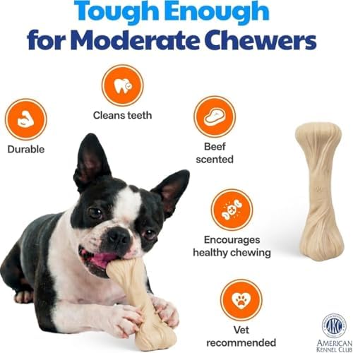 American Kennel Club Training Dog Chew Toy, Large PP Bone Dog Toy, Durable Dog Toy for Moderate Chewers, Beef Scented for Long-Lasting Engagement, Supports Dental Health, White