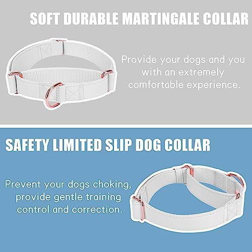 Soft Leather Martingale Dog Collar - Adjustable Rose Gold Limited Slip Collars [Easy to Clean], Stylish Durable Heavy Duty Nylon No Pull Training Collar for Small Medium Large Dogs XS White