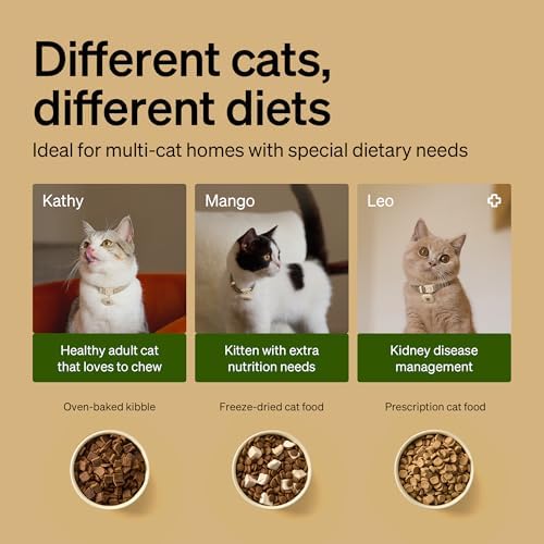 PETLIBRO RFID Automatic Cat Feeder with 6 Packs Pet Food Desiccant Bag, Collar Sensor for Personalized Meals, Wi-Fi Programmable Food Dispenser with Cats Recognition & Diet Tracking