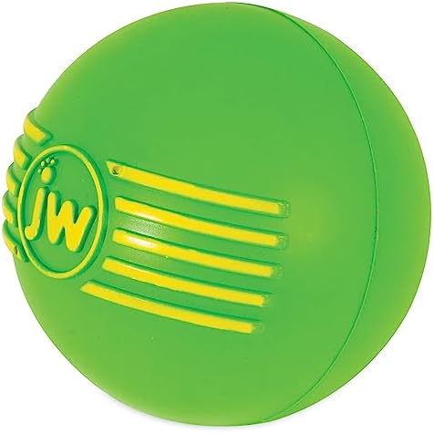 JW Pet Dog iSqueak Ball Dog Toy, Large, (Assorted Colors)
