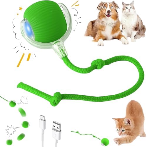 Interactive Electric Automatic Rolling Moving Rechargeable Self Play Stimulation Toy,Smart Pet Chase with Speedy Tail Rope for Bored Indoor Cats (Green)