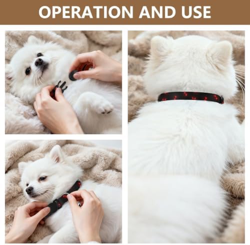 Glowing Red Eyes Easy to Wear Small Dog Collar 2 Pack for Kitten