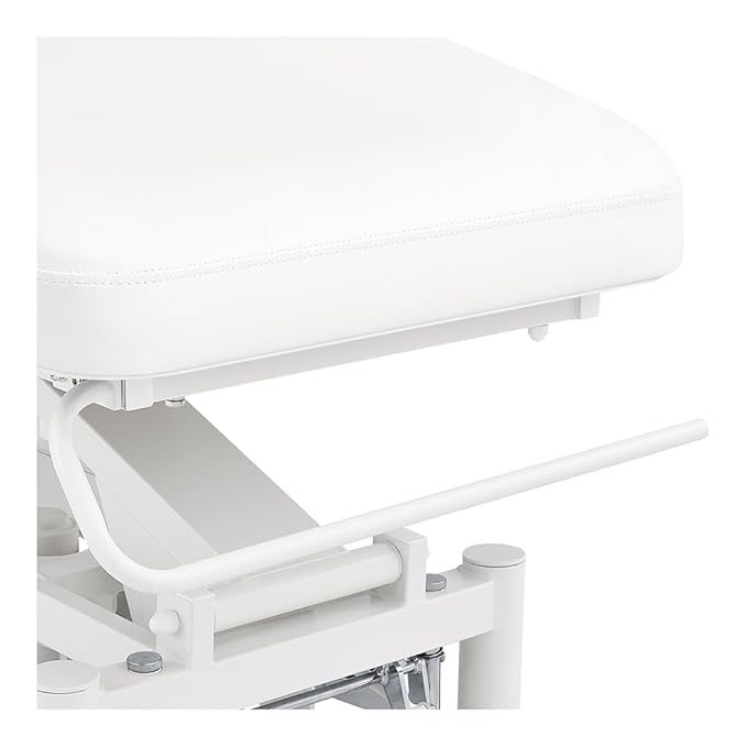 Spa Full Electrical Facial Beauty Bed Spa All Purpose Massage Table Medical Examination Bed with 2 Motors MAR EGEO
