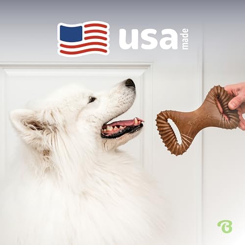 Benebone Dental Durable Dog Chew Toy for Aggressive Chewers, Real Peanut, Made in USA, Medium