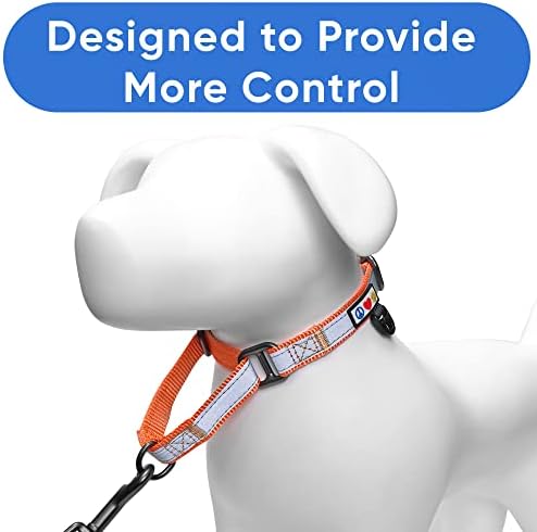 Pawtitas Customized Martingale Dog Collar Reflective Reflective Dog Collar Embroidered Personalized Name Phone Number Adjustable for Puppies Small Medium Large Size Dogs Small Orange