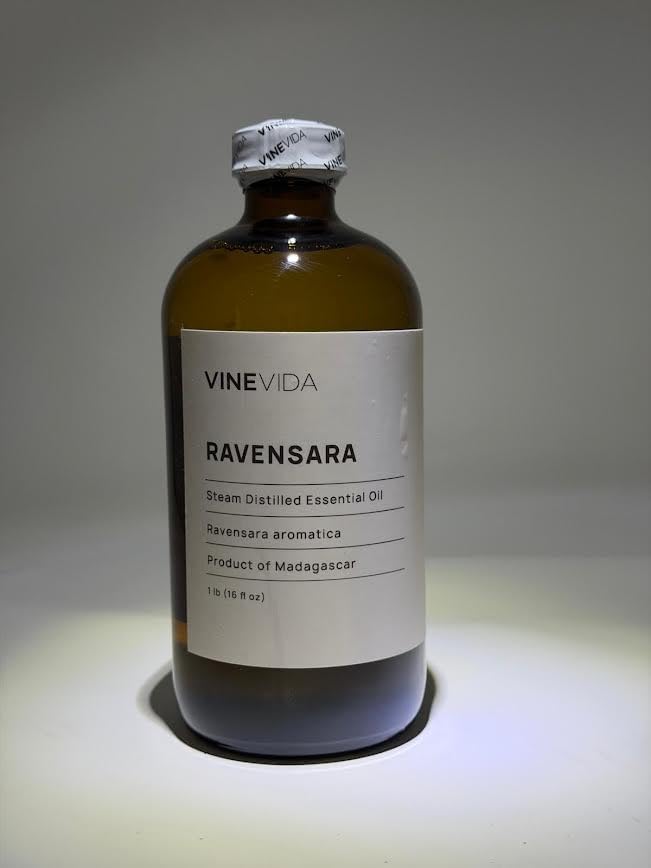 VINEVIDA Ravensara Essential Oil 16 oz