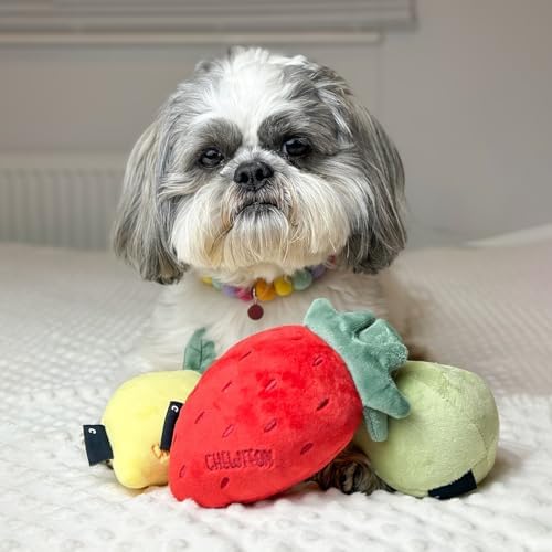 CHEWFFON Squeaky Plush Dog Toy, 3-Piece Fruit Set
