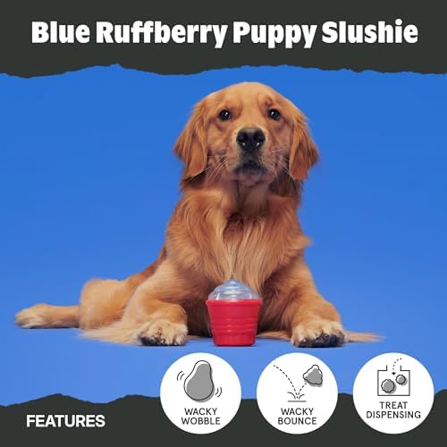 BarkBox Blue Ruffberry Puppy Slushie Dog Toy - Toy for Medium Dogs