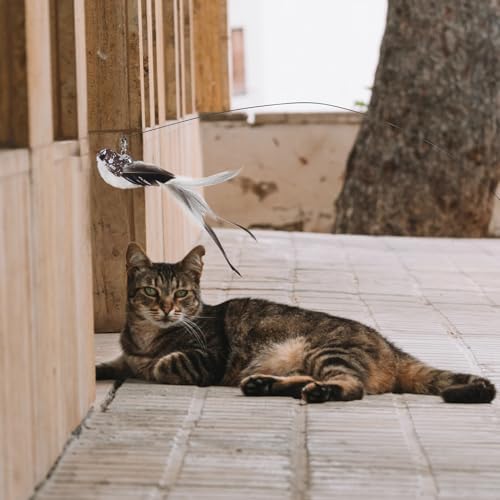 Toddmomy Cat Plumage Replacement Attachment with Long-Tailed Songbird Plumage Head Interactive Cat Wand Refill Pet Accessory and Exercise