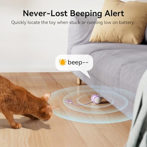 Interactive Cat Toys for Indoor Cats - Automatic Moving Kitten Toys, Wicked Mouse Neo Cat Toy with Tail & Lights, Pet Cat Supplies, Rechargeable Cat Toys for Bored Indoor Adult Cats, Purple