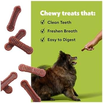Wiggles & Wags Dental Chews for Large Dogs, Pumpkin Flavor, 12 Ounces with DN Essentials Bone Shaped Dispenser & Roll