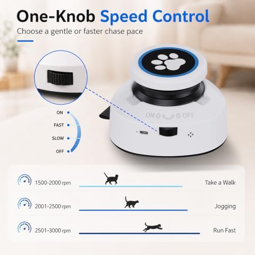 Automatic Cat Toy for Indoor Cats, Interactive Cat Chase Toy with Moving Feather Lure, DIY Floor Route Kit, Rechargeable Self-Play Cat Exercise Toy