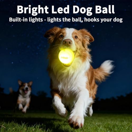 LaRoo 2026 New Version LED Dog Ball, USB Type-C Rechargeable Motion Activated Light Up Dog Ball, IP56 Waterproof Soft Silicone Interactive Glow Light Up Ball for Dog Night Outdoor Play, 2.5 Inch