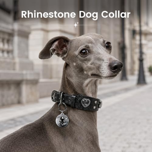 Rhinestone Dog Collar with QR ID Tag, Ostrich-Embossed, Black, M | Crystal Dog Collar with Ostrich-Embossed Texture, Adjustable Waterproof Fit and QR Scan Pet ID for Stylish Daily Wear