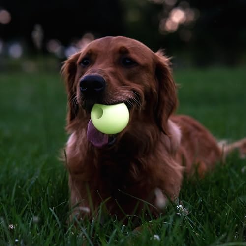 Harry Barker Glow-in-the-Dark Rubber Dog Fetch Balls, High-Bounce Interactive Toy with Safety Air Vent, 2.5 Inch, Launcher-Compatible