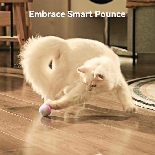 Cheerble Interactive Cat Ball Toy, Wicked Ball M3, Automatic Interactive Cat Toys for Indoor Cats with 3 Modes, Rechargeable Cat Enrichment Toys for Small/Medium/Large Cats to Keep Them Busy