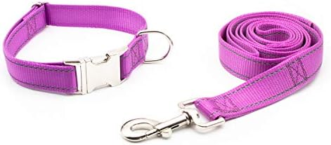 Personalized Dog Collar, Reflective Custom Dog Collar with Name Phone Number Adjustable Size (XS S M L) (Orchid)