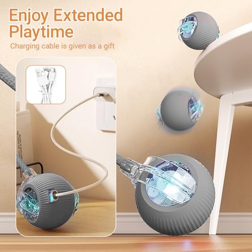 360° Interactive Dog Cat Toys Balls(Grey, one Size)