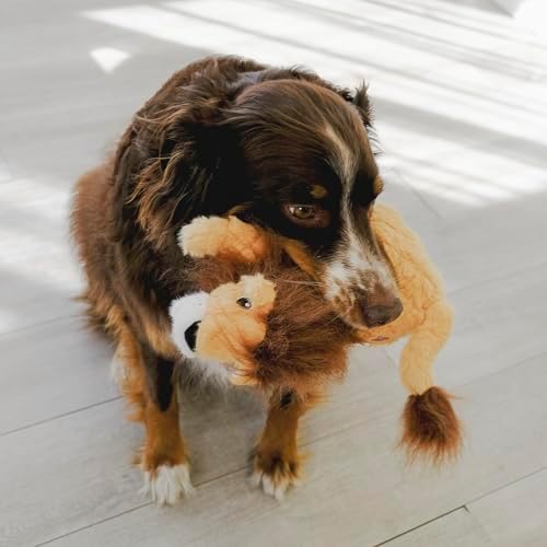 KONG Scampers Wildlife Plush Dog Toy with Low Tone Squeaker (Lion/Lemur Combo)