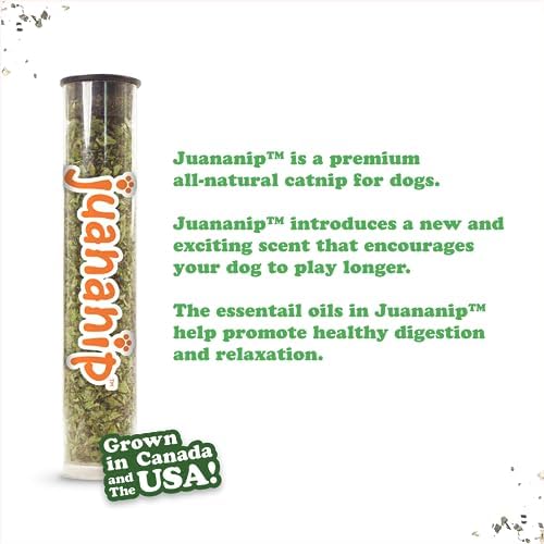 Doggijuana Tuffer Chewer Plush Dog Toy, Dill Pickle | Squeaky Refillable