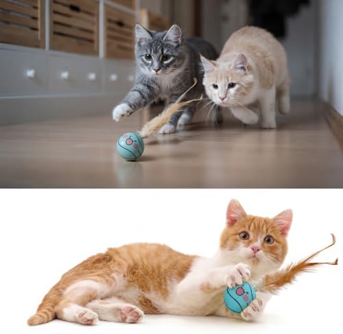 Teyva 32 Pcs Cat Bouncy Ball Toys with Natural Feathers, Interactive