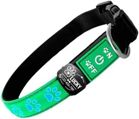 Personalized Light Up Dog Collar with Laser Engraved ID Tag