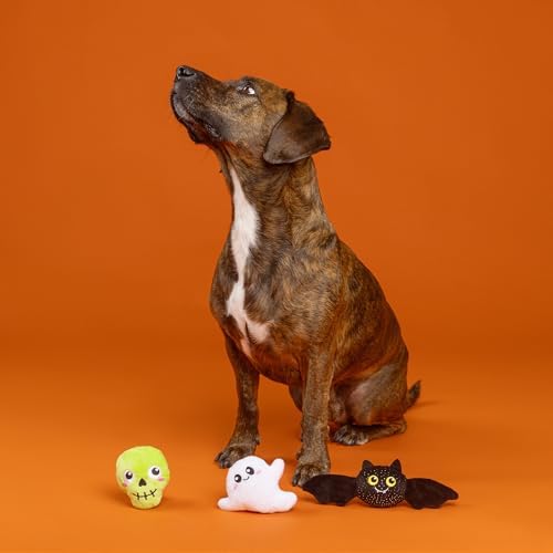 Fringe Studio Pet Toy, Boo YAH! Plush Dog Toy 3 PCS Set, PetShop Collection (662191)