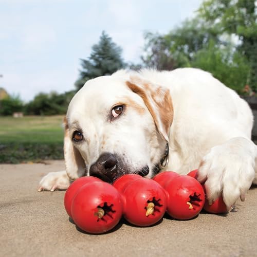KONG Goodie Ribbon, Stuffable Natural Rubber Dog Toy, for Medium Dogs