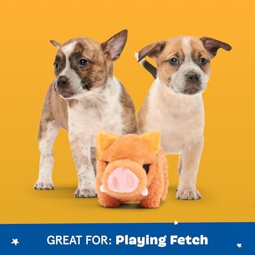 BarkBox Beau the Boar Plush Dog Toy - Toy for Small to Medium Dogs