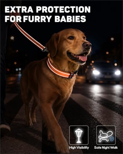 Padded Dog Collar with Waterproof Holder Compatible with Airtag
