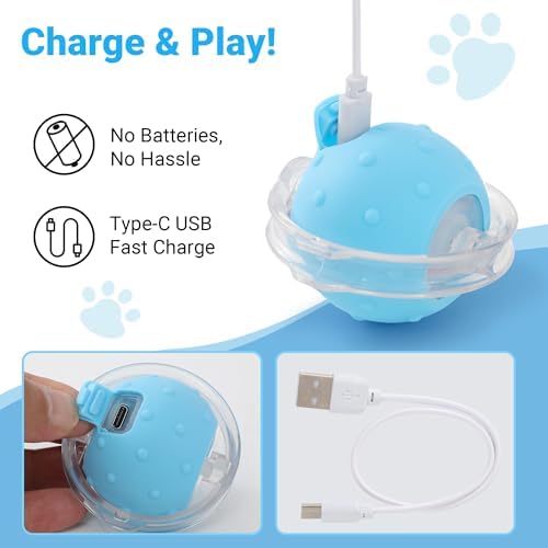 Cat Toys for Indoor Cats, Interactive Cat Toy for Adult Cats