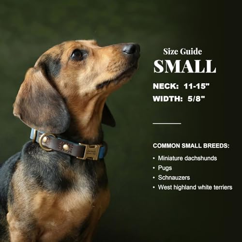 Personalized Dog Collars, Quick Release Buckle, Denim Blue,S