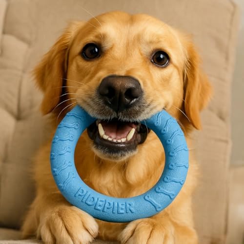 Dog Tug Toy, Dog Pull Ring Toy, Lightweight EVA Fitness Ring - Interactive Floating Fetch Toy for Dogs - Durable Soft Training Ring for Puppy & Active Dogs - Professional All-Terrain Pet Toy (Orange)
