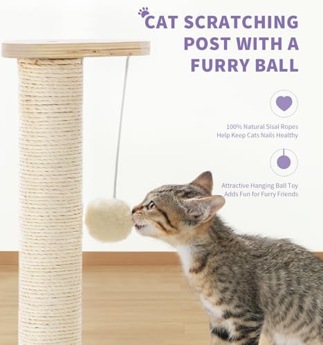 Made4Pets Kitten Toy Scratching Post for Indoor Cats with Ball Track
