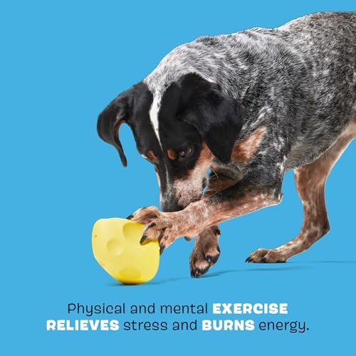 BarkBox Cheese Dog Toy - Toy for Medium Dogs
