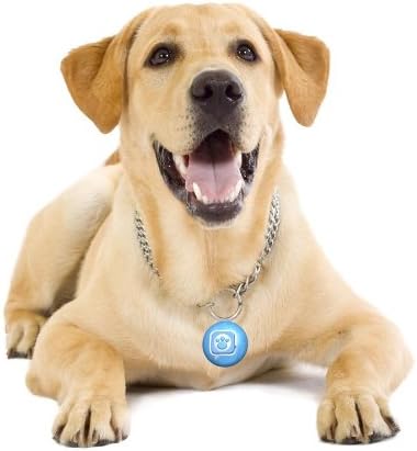 Mattel Puppy Tweets Blue