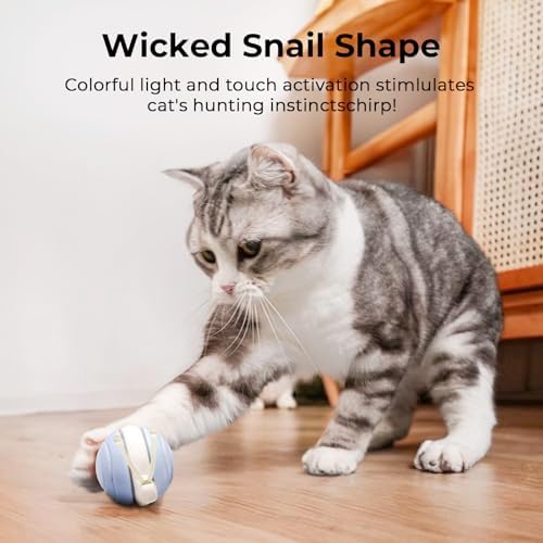Cheerble Interactive Cat Toy for Indoor Cats, Wicked Snail Kitten Toys, Automatic Cat Toys with LED Lights, Rechargeable Moving Toys for Cats, Smart Stimulating Electric Pet Toy(Blue)