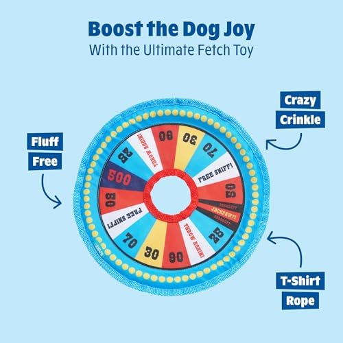 BarkBox Fetch N' Win Wheel Dog Toy - for Dogs