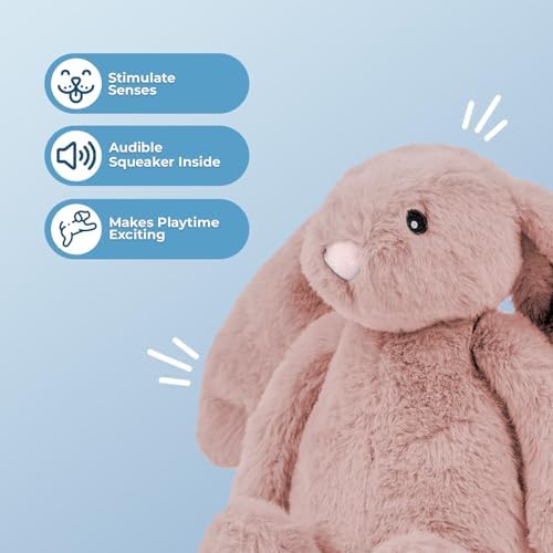 Best Pet Supplies Bunny Buddy Squeaky Plush Dog Toy - Mauve, Medium | Soft Plush, Squeaks & Crinkles, Perfect for Moderate Chewers, Toss & Fetch Play, Stress & Anxiety Reliever, Ideal Gift Toy