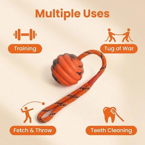 Ball on Rope Dog Toy - Durable Interactive Training Toy