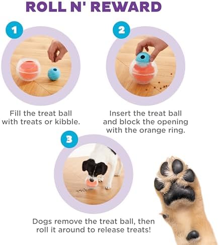 Outward Hound by Nina Ottosson Topsy Treat Ball Dog Puzzle, Level 1 Beginner, Orange