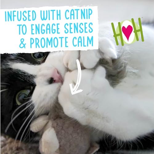 HuggleKats Cat Toys - Kitten Toys for Bored Indoor Cats, Perfect for Moving, Exercise, Biting & Chewing - Wee Fellar Squirrelie
